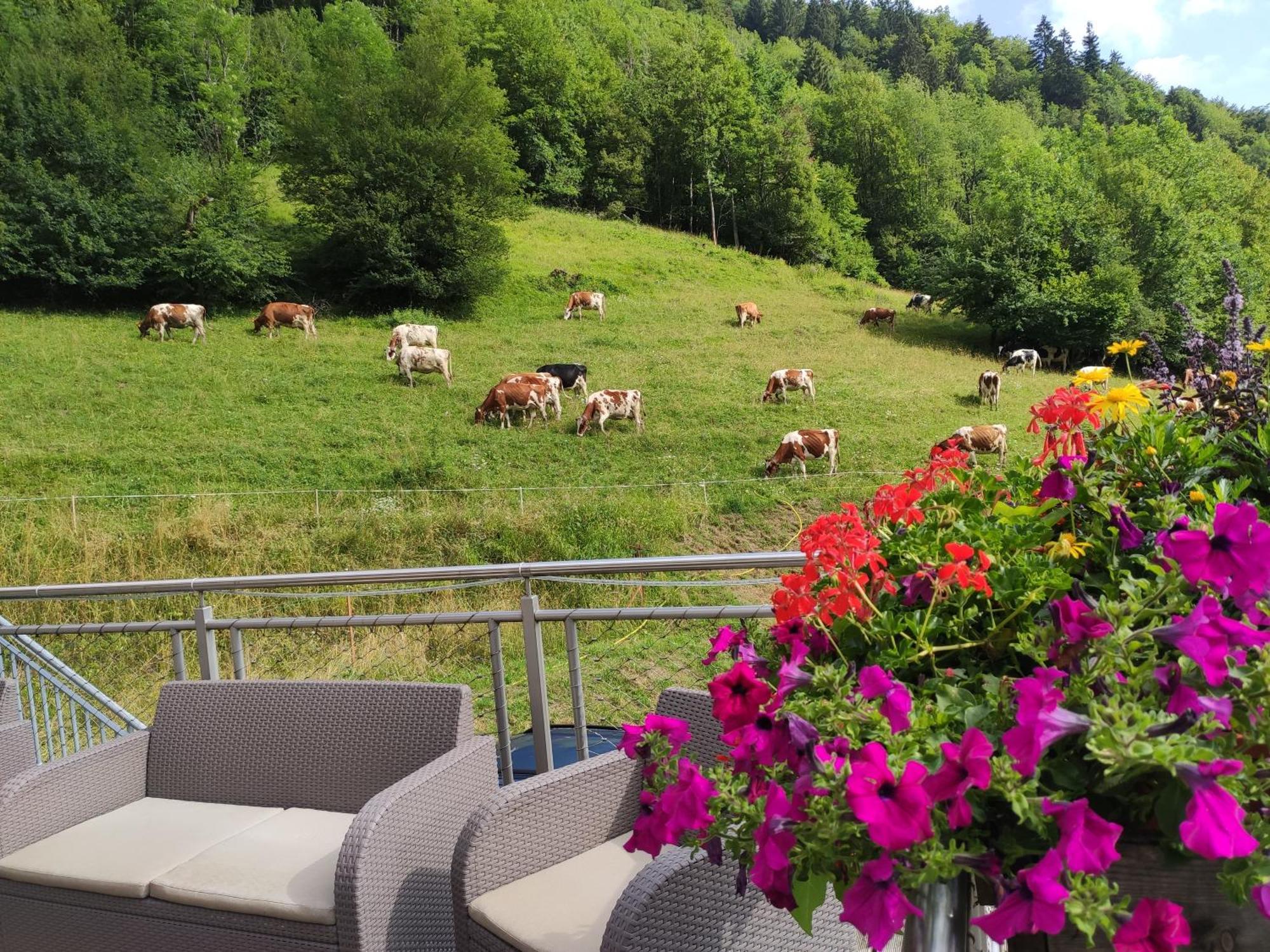 Hotel Les Chemins du Léman à Novel Extérieur photo